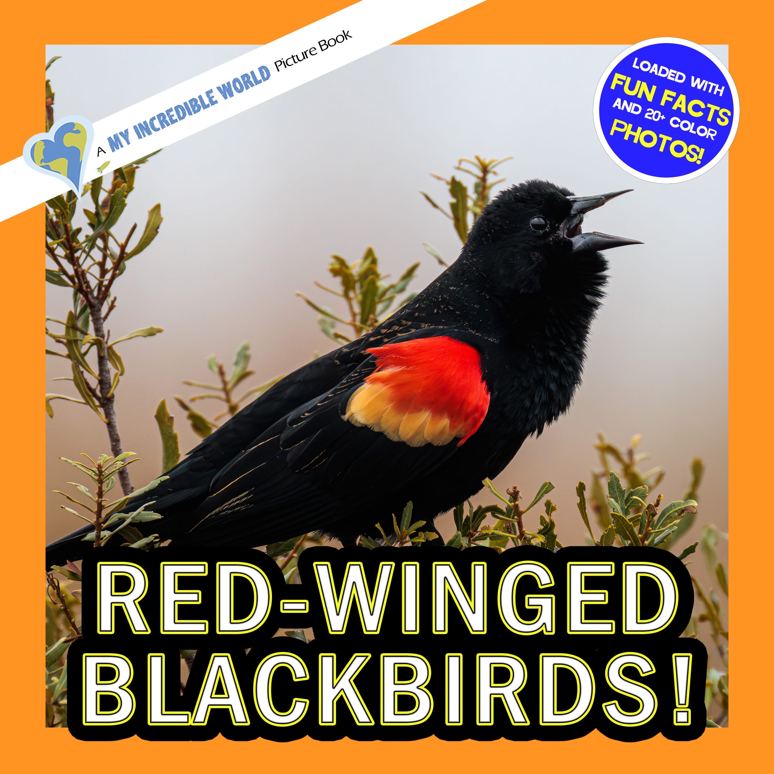 Red-winged Blackbirds! A My Incredible World Picture Book for Children
